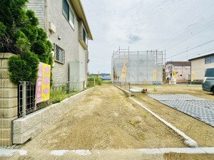 本地 (3)